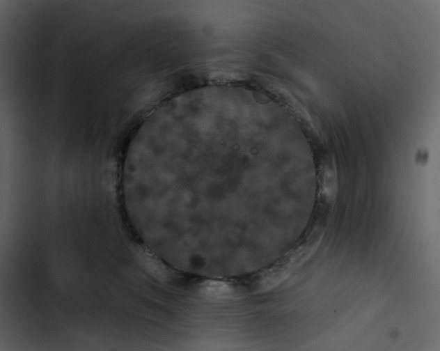 X0000102850519200809021404