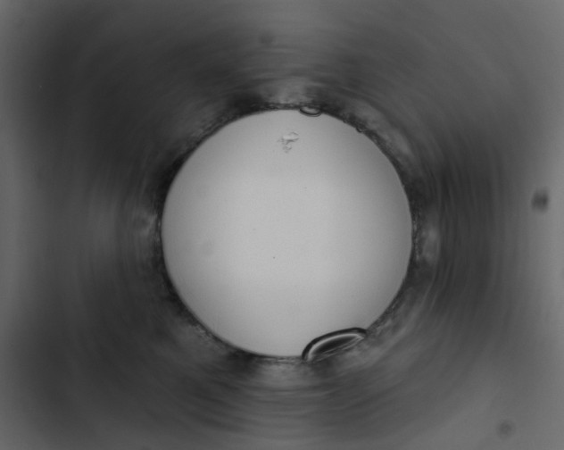 X0000102850521200809021404