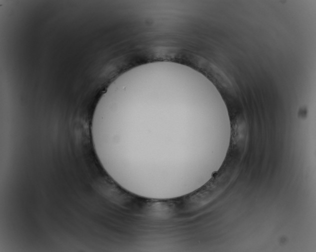 X0000102850522200809021404