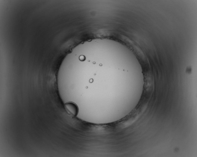 X0000102850523200809021404