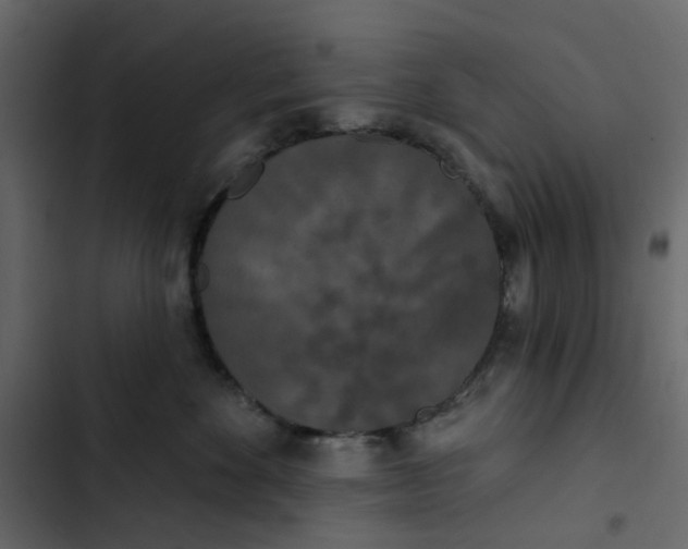 X0000102850524200809021404