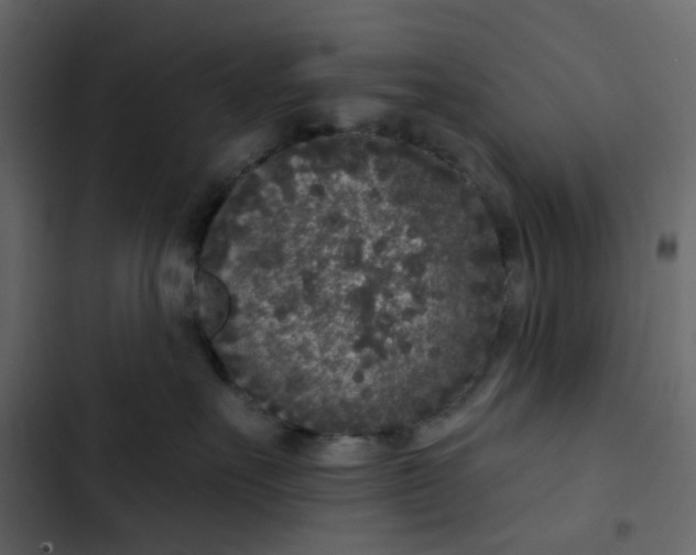 X0000102850527200809021404