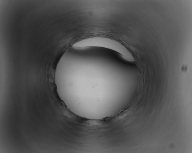 X0000102850528200809021404