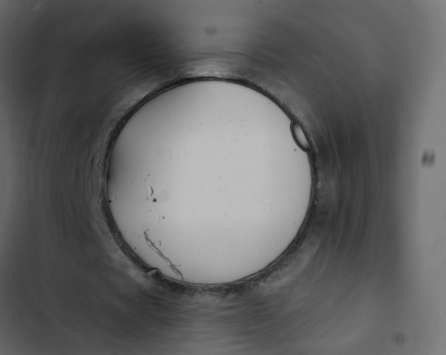 X0000102850529200809021403