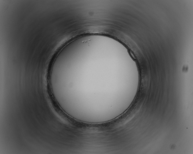 X0000102850530200809021403