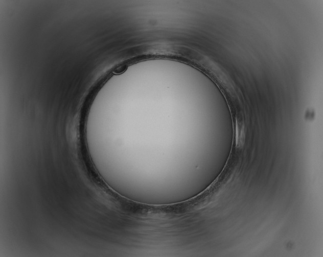 X0000102850531200809021403