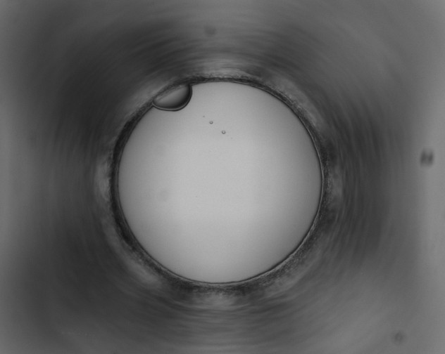 X0000102850533200809021403