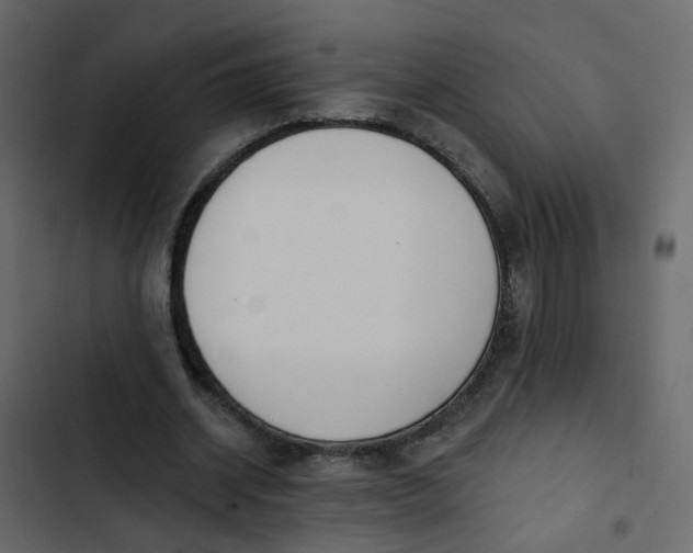 X0000102850534200809021403