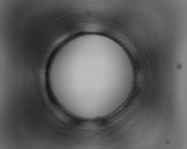 X0000102850535200809021403