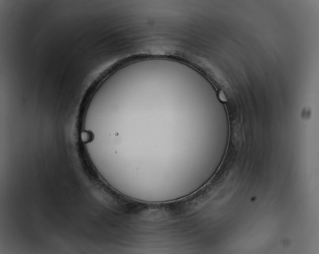 X0000102850536200809021403