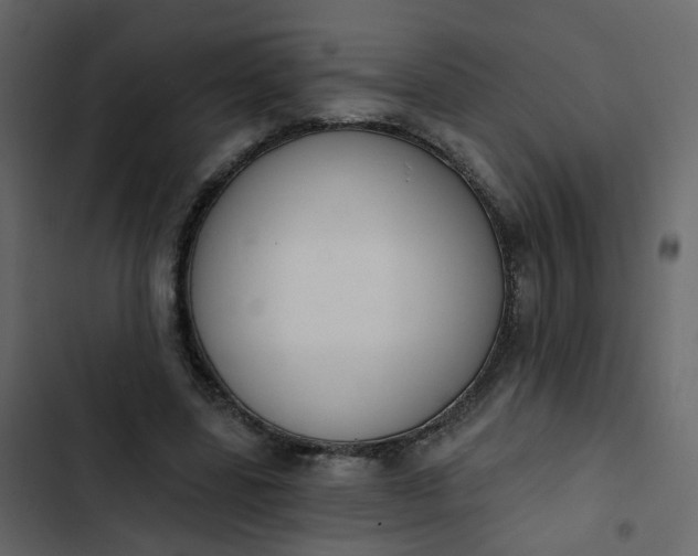 X0000102850539200809021403