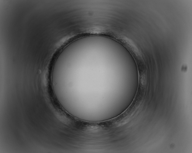 X0000102850540200809021403