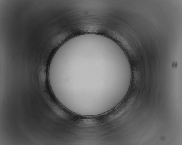 X0000102850541200809021403