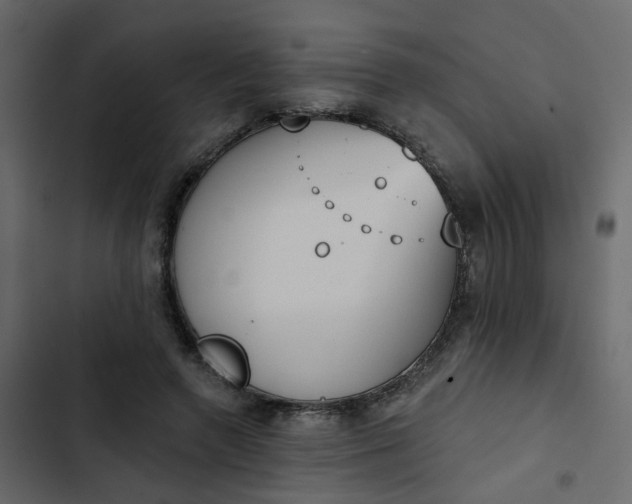 X0000102850546200809021403