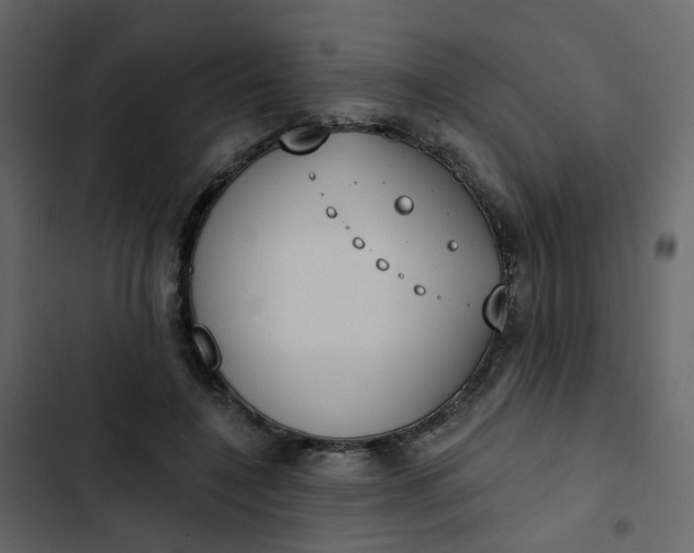 X0000102850548200809021403