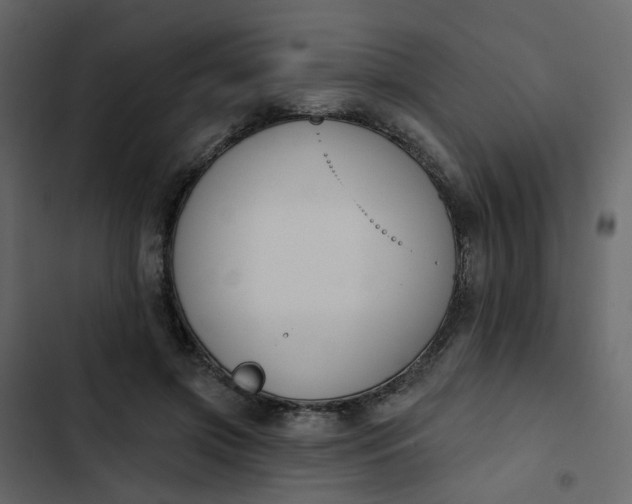 X0000102850549200809021403