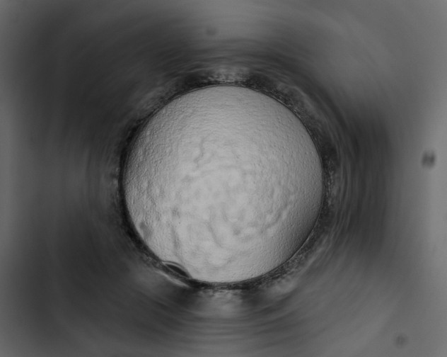 X0000102850553200809021403