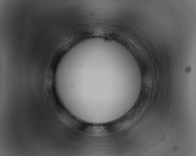 X0000102850554200809021403