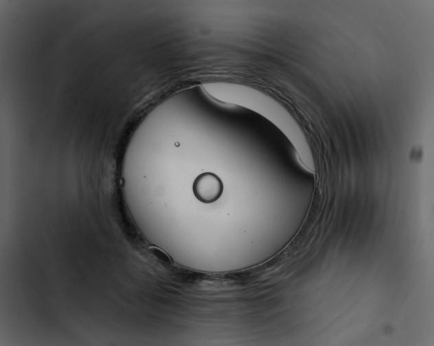 X0000102850556200809021404