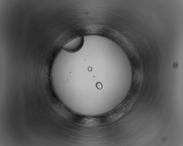 X0000102850557200809021404