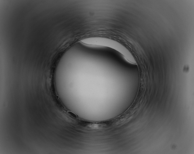 X0000102850558200809021404