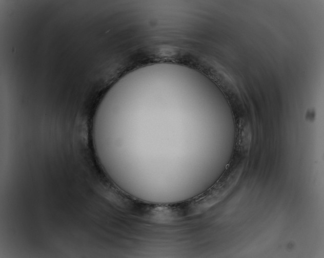 X0000102850562200809021404