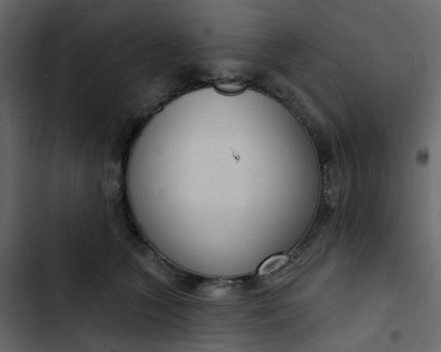 X0000102850563200809021404