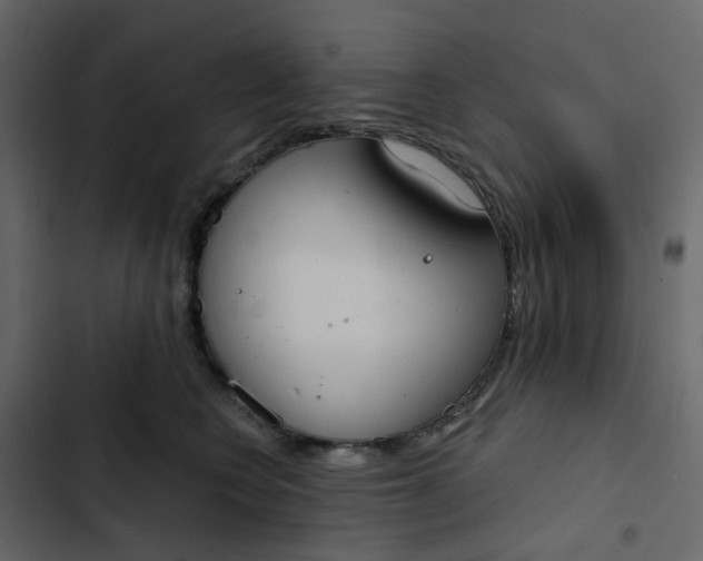 X0000102850566200809021404