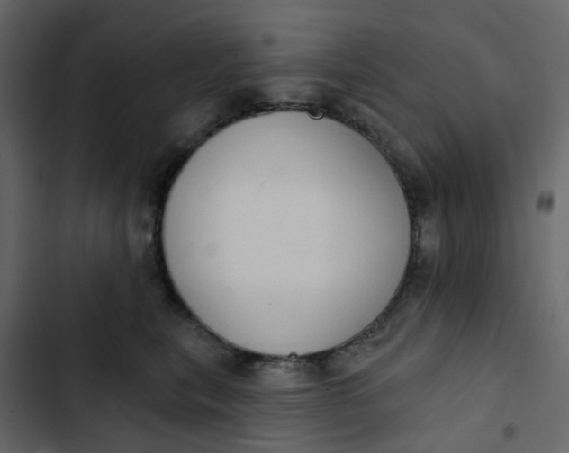 X0000102850567200809021404