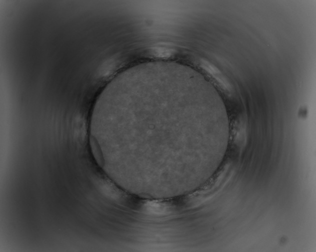 X0000102850568200809021404