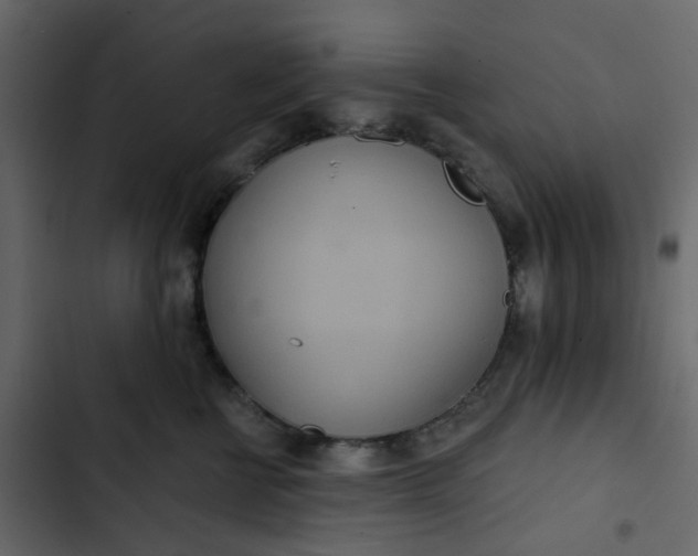 X0000102850570200809021404