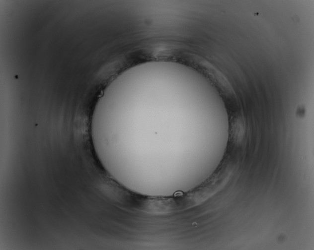 X0000102850571200809021404