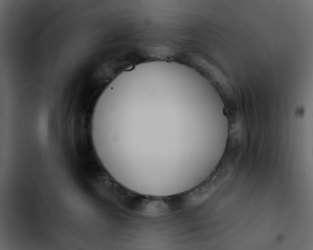 X0000102850572200809021404