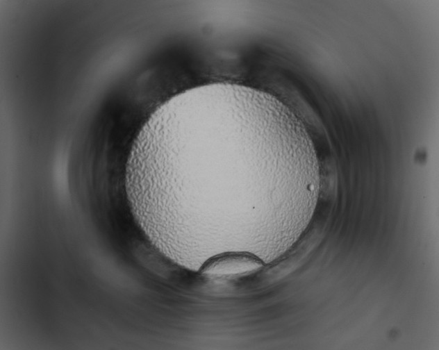 X0000102850573200809021404