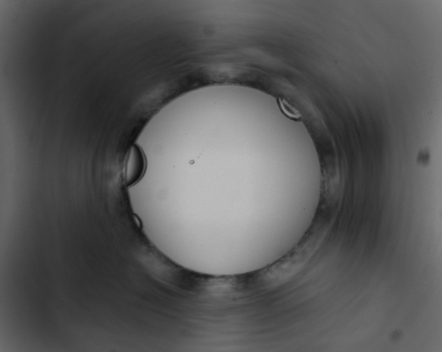 X0000102850574200809021404