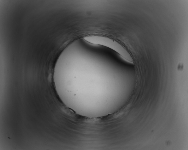 X0000102850576200809021404