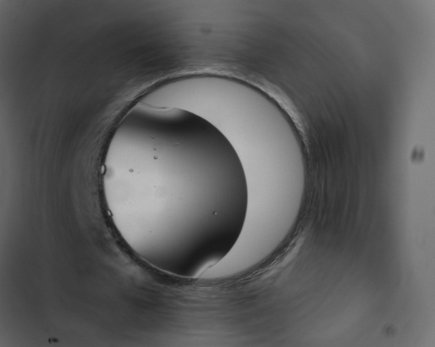 X0000102850577200809021403