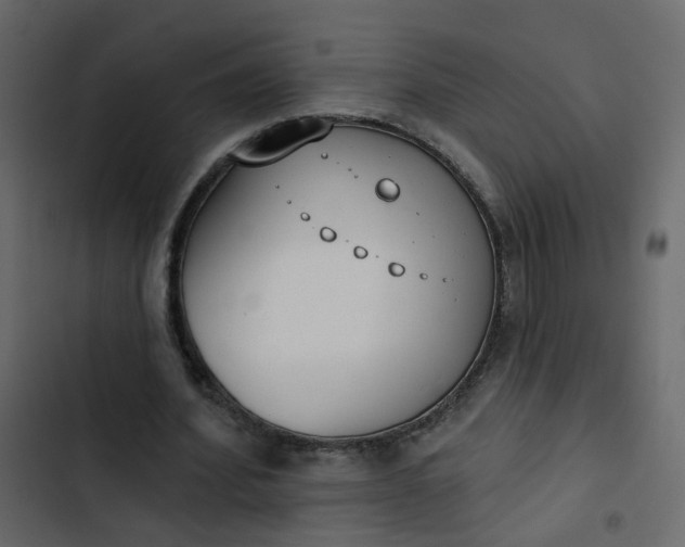 X0000102850580200809021403