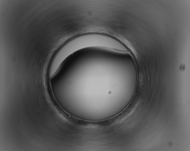 X0000102850581200809021403