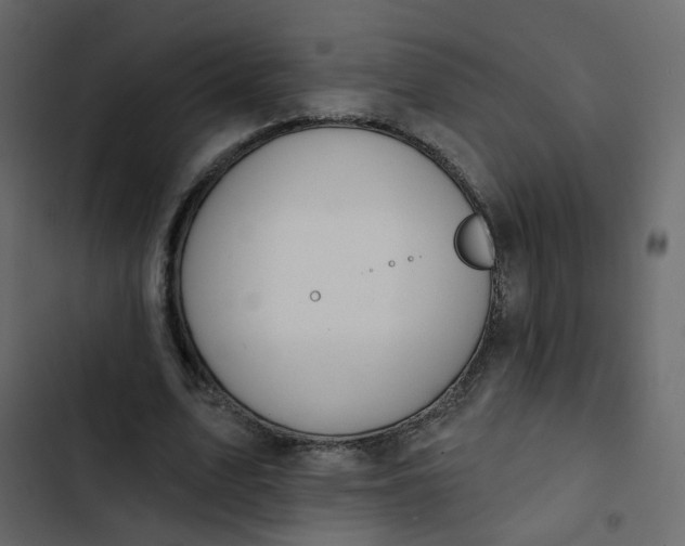 X0000102850583200809021403