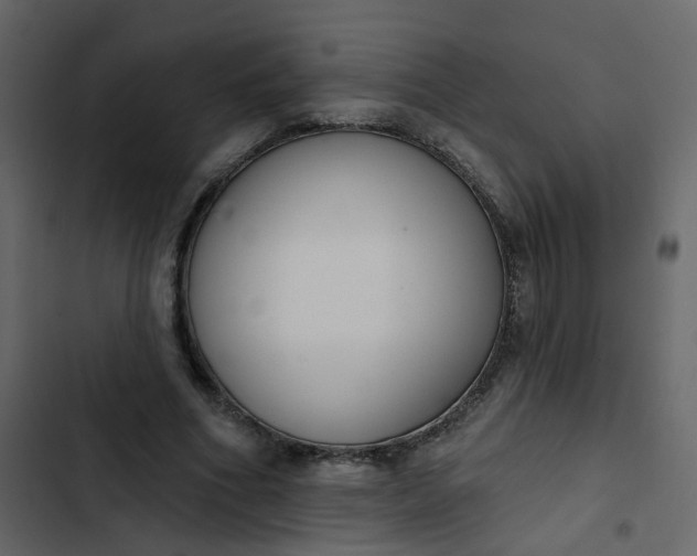 X0000102850586200809021403