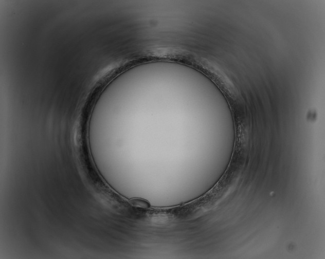 X0000102850587200809021403