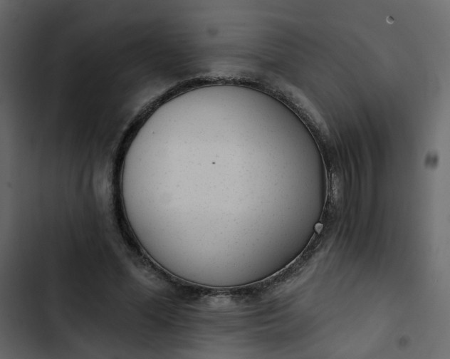 X0000102850588200809021403