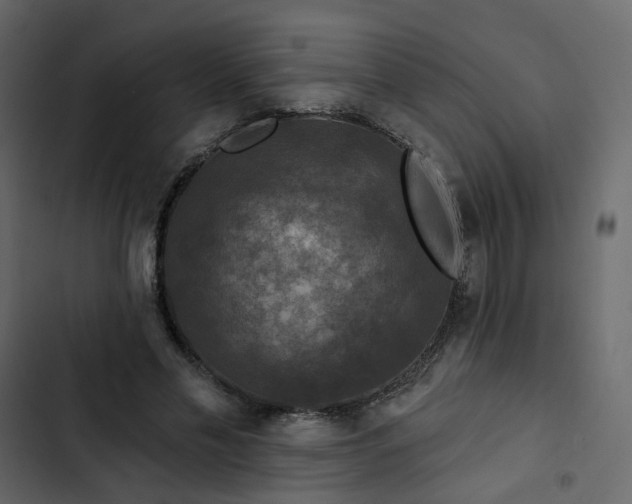 X0000102850589200809021403