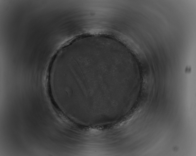 X0000102850592200809021403