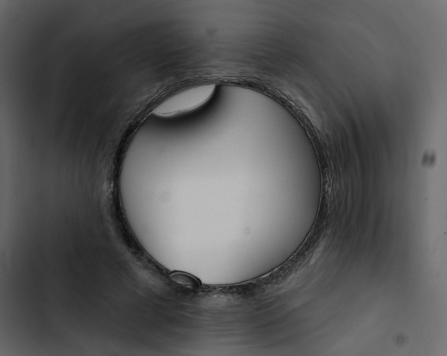 X0000102850593200809021403