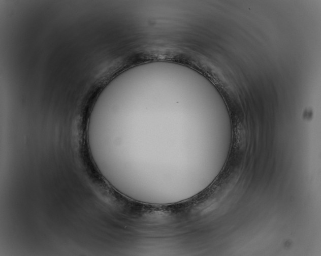 X0000102850594200809021403