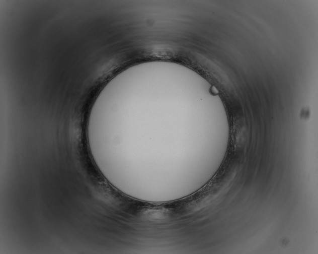 X0000102850595200809021403