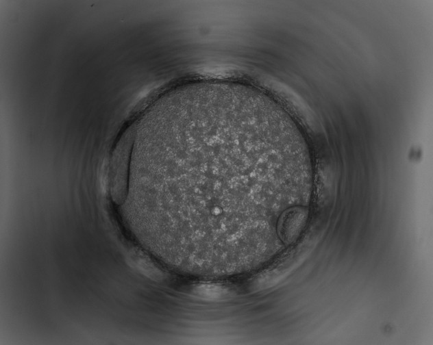 X0000102850596200809021403