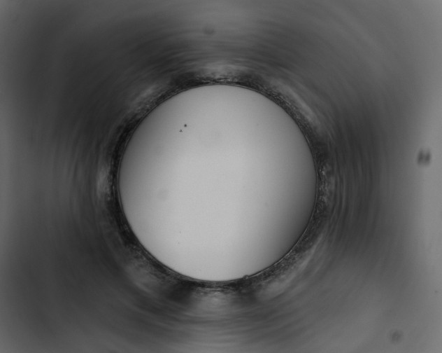 X0000102850597200809021403